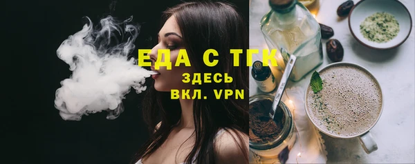 шишки Горняк
